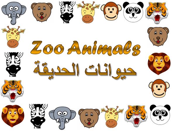 Zoo Animals Flashcards English and Arabic | Arabic Playground